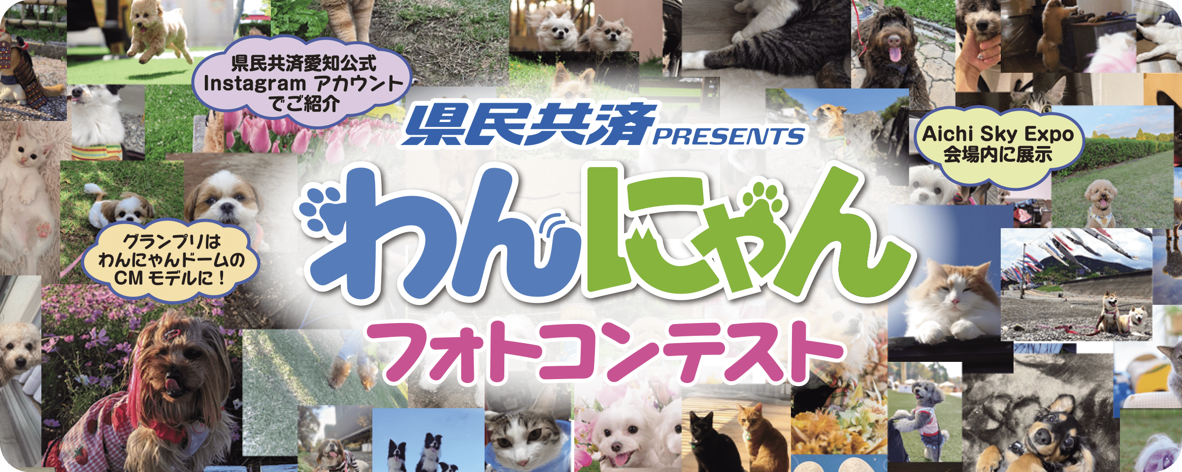 県民共済プレゼンツ わんにゃんフォトコンテスト開催